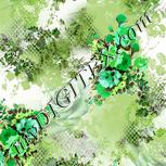 Colour:D