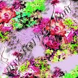 Colour:B