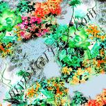 Colour:C
