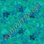 Colour:F