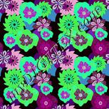 Colour:C