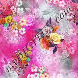 Colour:B