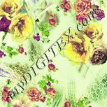 Colour:K