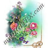 Colour:A