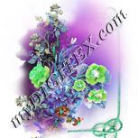 Colour:C