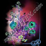 Colour:F