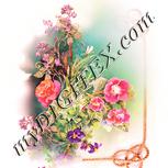 Colour:J