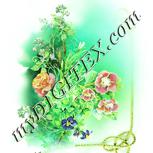 Colour:K