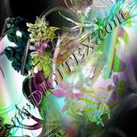 Colour:D