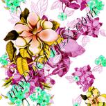 Colour:B