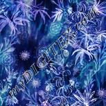 Colour:F