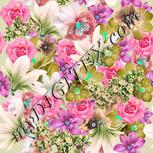 Colour:C