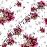 Colour:C