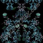 Colour:F