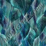 Colour:F