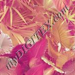 Colour:A