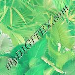 Colour:D