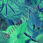 Colour:F