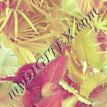 Colour:K