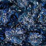 Colour:F