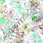 Colour:C