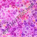 Colour:A