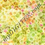Colour:B