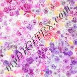 Colour:K