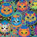 Colour:A