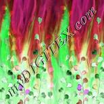Colour:F