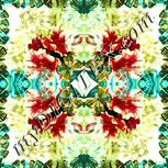 Colour:K