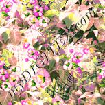 Colour:J