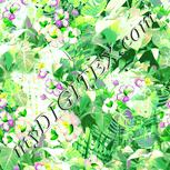 Colour:K