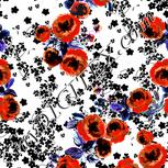 Colour:B