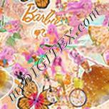 Colour:B
