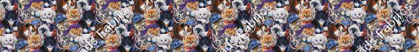 Cutest Kittens