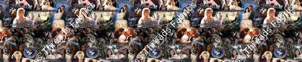 Shows Labyrinth