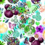 Colour:C