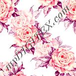 Colour:B