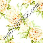 Colour:K