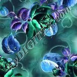 Colour:F
