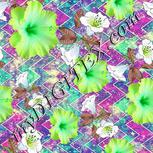 Colour:D