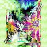 Colour:K