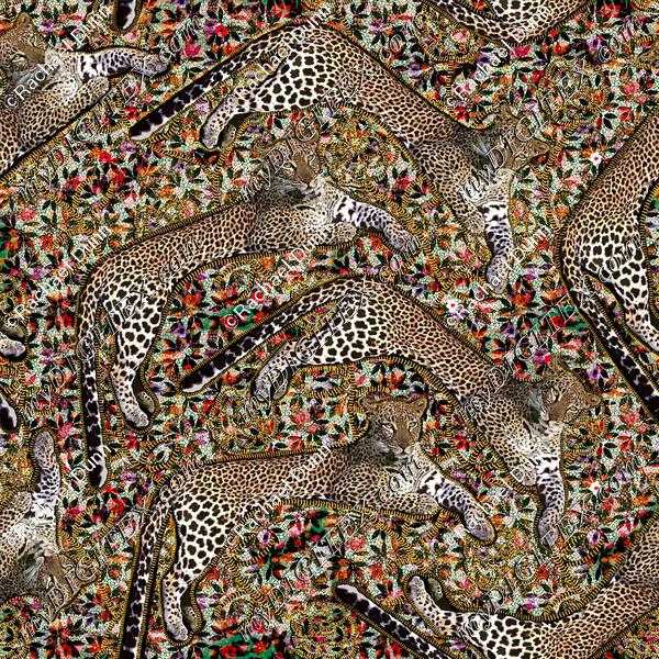 Leopards vivid