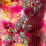 Colour:B