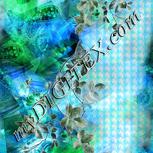 Colour:F