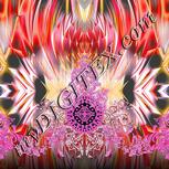Colour:B