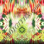 Colour:K