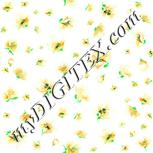 Colour:K