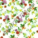 Colour:K